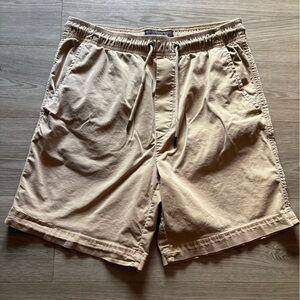 American Eagle Men's Tan Casual Shorts